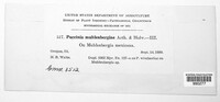 Image Associated With the Occurence